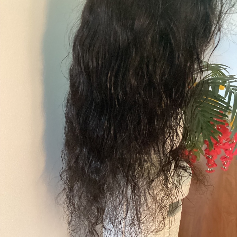 BODY WAVE INDIAN REMY  360 Lace Preplucked (NWOT) - Picture 8 of 14